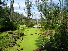 Maryland 0380.jpg
